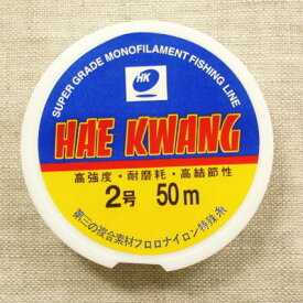 楽天市場 0 2mm テグスの通販