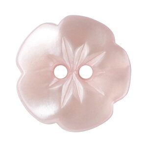 ԃ{^ 2 13mm sN y6z