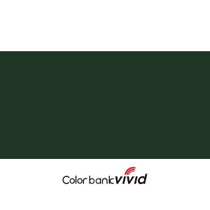 ��VIVID OC 50ml 914�I���[�u�O���[��