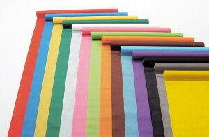 sDz/ӂ傭 n/z/V[g fCW[ 10M(100cm)