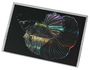 zOXNb`{[h2 ܂肽݃P[Xt