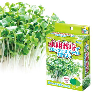 k͔|ŃubR[XvEgĂ悤