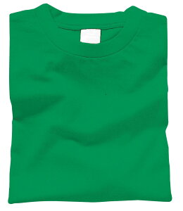 カラーTシャツ L 025 グリーン