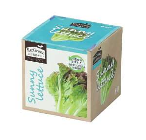 GR͔|Lbg Re:Green Tj[^X