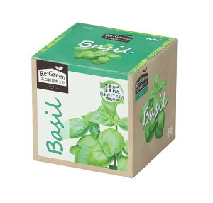 GR͔|Lbg Re:Green oW