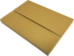 ���[���֑Ή����^�_���{�[�� A4�T�C�Y 100��