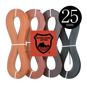 Ȗ؃U[ {k ve[v 25mm×10M {y4FWJzvЂ vR U[Ntg xgޗ v vޗ {v ^jȂ߂ v kv  nhCh  obO  Jo V