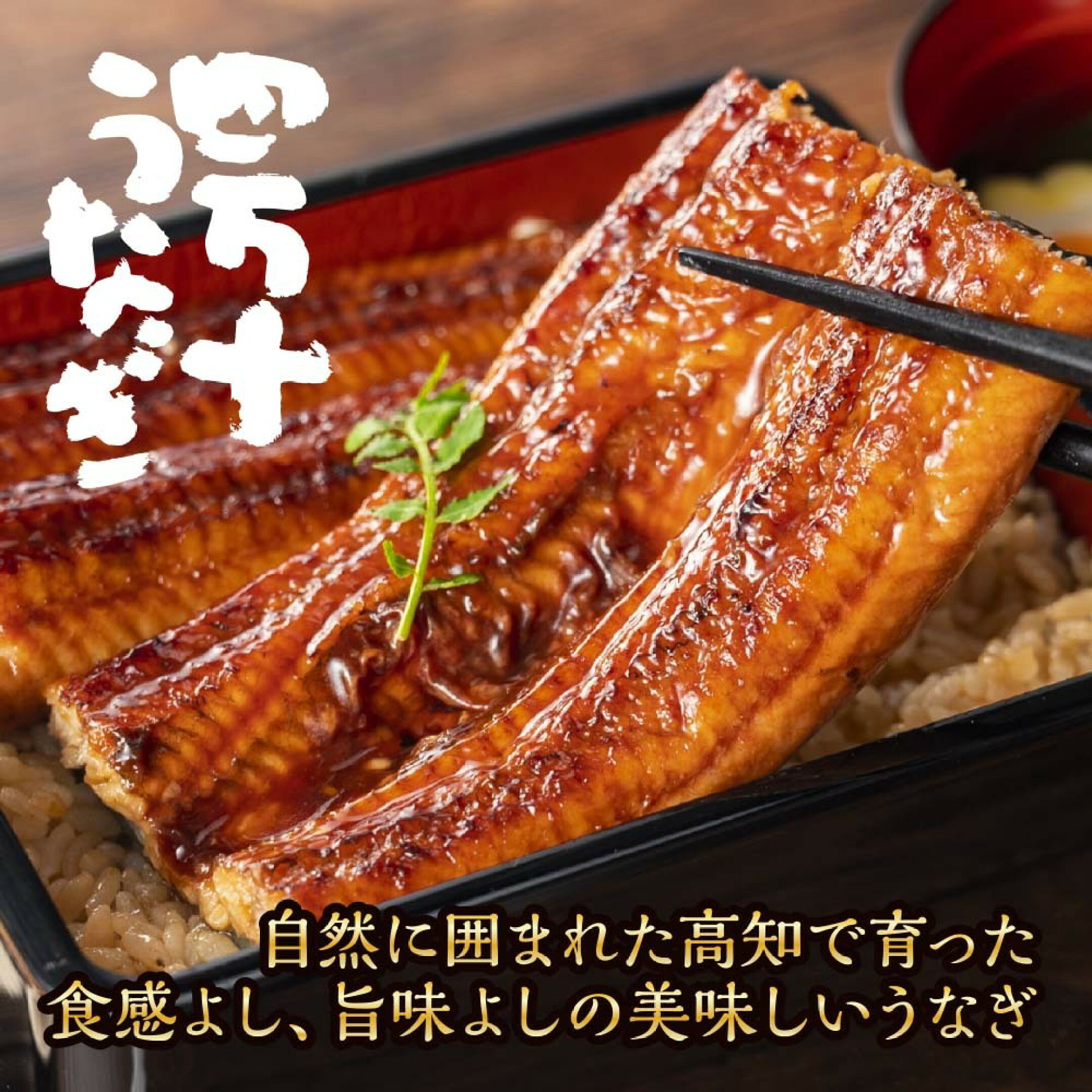 最後の清流四万十川／四万十うなぎ蒲焼／お中元／丑の日