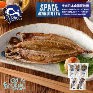 ܂ł炩 ܂Ƃ 5Zbg JiE݂񖡁EoWje1ܐ^ΕАgiE݂񖡁je1 ̓ ̓  hV̓q炨N܂ňS