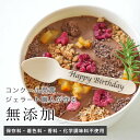 お中元にも◎【無添加】カカオニブ入り！チョコレートジェラートのミニ アイスケーキ「Terra テッラ」2人用 3人用 4人用　卒園祝い・入学祝い・ホワイトデー　誕生日