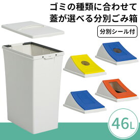 【46L 分別用ゴミ箱】狭い場所におすすめの縦長タイプのダストボックス｜ごみ箱 ダストボックス 分別 一般ゴミ 燃えるゴミ ビン 缶 スリム 縦型 業務用 オフィス 店舗 飲食店 中身が見えないゴミ箱 おしゃれ フタ付き 蓋付き