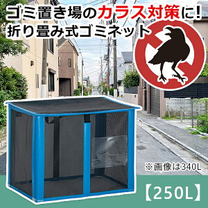 y250LzS~lbgbS~lbg {bNX S~lbg{bNX JX悯lbg JX悯 S~Xe[V lbg O ܂肽 JX΍ S~W S~̂ďlbg S~W