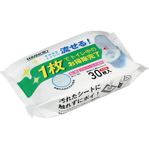 gCpEFbgV[g 30 230×160mm gC|V[g gC֊ gC| gC| ֍ X t@~X Rrj ItBX ȒP| Z N