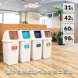 TERAMOTO テラモト エコ分別カラーペールW / 分別用ゴミ箱 31L 42L 60L 98L ごみ箱 蓋 フタ ダストボックス 分別 一般ゴミ 燃えるゴミ ビン 缶 スリム 縦型 業務用 オフィス 店舗 飲食店 中身が見えないゴミ箱 おしゃれ 商業施設