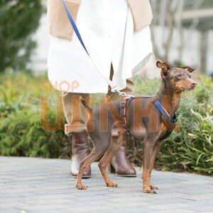 大型 犬 ハーネス かわいい ペットの人気商品 通販 価格比較 価格 Com 大型 犬 ハーネス かわいい ペットの人気商品 通販 価格比較 価格 Com