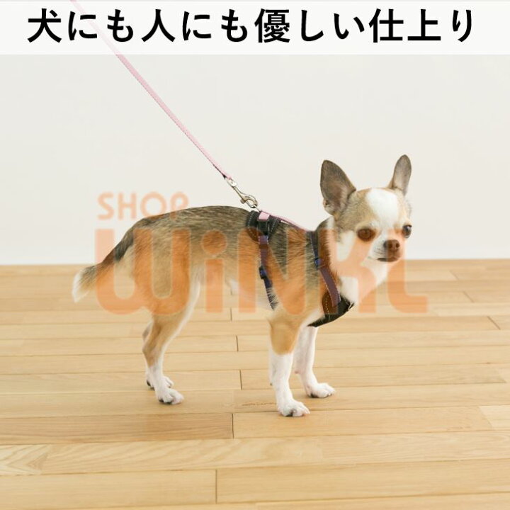 楽天市場 小型犬用リード かわいい 可愛い 犬首輪 軽い 軽量 柔らかい 負担少ない 負担が少ない ブランド おしゃれ 犬 イヌ いぬ グッズ ペット用品 ペットグッズ 散歩 お出かけ カラフル ファッションリード チワワ ポメラニアン ヨークシャーテリア Shopウィンクル