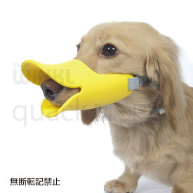 楽天市場 かわいい しつけ用品 犬用品 ペット ペットグッズの通販