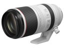 CANON　レンズ　RF100-500mm F4.5-7.1 L IS USM
