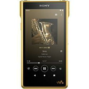 SONY@fW^I[fBIv[[@NW-WM1ZM2 [256GB]