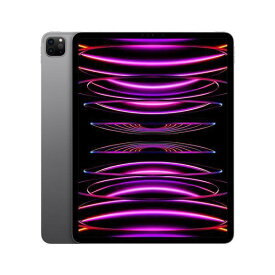 APPLE　iPAD(Wi-Fiモデル)　iPad Pro 12.9インチ 第6世代 Wi-Fi 256GB 2022年秋モデル MNXR3J/A [スペースグレイ]