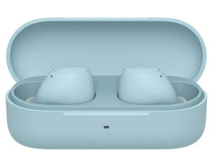 SONY�@�w�b�h�z���E�C���z���@WF-C510-LC[�u���[]