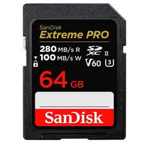 SANDISK@SD[J[h@SDSDXEP-064G-GN4IN [64GB]