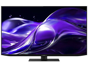 SHARP�@���^�e���r�@AQUOS OLED 4T-C48HQ2 [48�C���`]