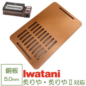 C^j F΂Ċ t S  o[xL[ 5mm ēv[g Ov[g Iwatani BBQ ()