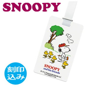 [㍞][[։\]IDobO^O@Xk[s[EbhXgbN@(Z-182)@l[v[g/l[^O@SNOOPY@PEANUTS
