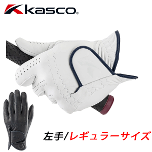 LXR@VL[tBbg@YStO[u@@M[TCY@GF-23301@SILKY FIT KASCO@jp@[[։\]