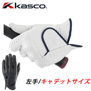 LXR@VL[tBbg@YStO[u@@LfbgTCY@GF-23302@SILKY FIT KASCO@jp@[[։\]