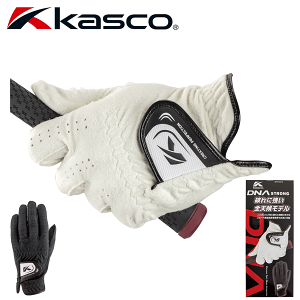 �L���X�R�@DNA�X�g�����O�@�����Y�S���t�O���[�u�@����@SFST-2312�@DNA STRONG KASCO�@�j���p�@2023�N���f���@[���[���։\]