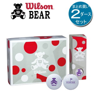 2�_�[�X�Z�b�g�i24���j �E�B���\���x�A4�@���f�B�[�X�@�S���t�{�[���@BEAR4�@WILSON BEAR GOLF BALL