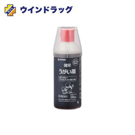 【第3類医薬品】健栄うがい液　250mL