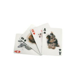 (Kikkerland)キッカーランド 3D DOG CARDS
