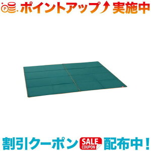 N[|zz(Coleman)R[} egV[gZbg/3025