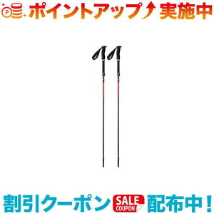 クーポン配布中☆(MSR)エムエスアール ダイナロックアッセントポール (L)