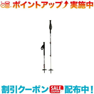 クーポン配布中☆(MSR)エムエスアール ダイナロックエクスプローラーポール