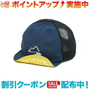 �N�[�|���z�z����(milestone)�}�C���X�g�[�� original cap MSC-017 (�l�C�r�[�u���[)