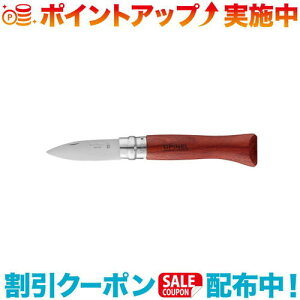 N[|zz(OPINEL)Isl ICX^[iCt No.09