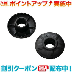 クーポン配布中☆(MSR)エムエスアール サマーバスケット ダイナロック用(2個セット)