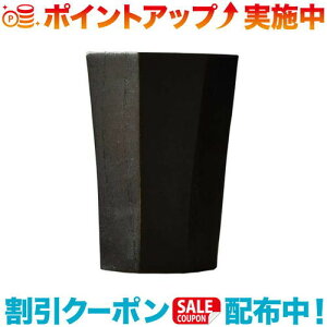 クーポン配布中☆(FORESTABLE)フォレスタブル 酒器 黒漆 【純】 黒