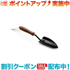 �N�[�|���z�z����(Barebones Living)�x�A�{�[���Y���r���O �X�y�[�h �E�H�[���i�b�g