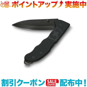 N[|zz(VICTORINOX)rNgmbNX G{[NBS ALOX BK