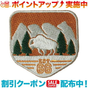 �N�[�|���z�z����(THE NORTH FACE)�U�E�m�[�X�E�t�F�C�X TNF CARE WAPPEN (�o�b�t�@��) | NN32231