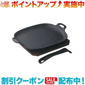 N[|zz(OIGEN)y ĂĂO ǂ^Cv