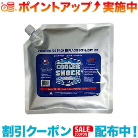 クーポン配布中☆(COOLER SHOCK)クーラーショック Medium 単品 | 暑さ対策 グッズ スポーツ 屋外 部活 アウトドア 暑 さ 対策 夏 外 キャンプ 暑さ対策グッズ 保冷 氷 冷やすグッズ 車中泊 釣り 冷却 冷却グッズ 冷却用品 野外 アウトドア用品 アウトドアグッズ キャンプ用品