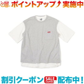 (CHUMS)チャムス Keystone Layard T-Shirt (H/Gray)