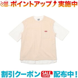 (CHUMS)チャムス Keystone Layard T-Shirt (Natural)