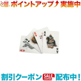 (Kikkerland)キッカーランド 3D DOG CARDS